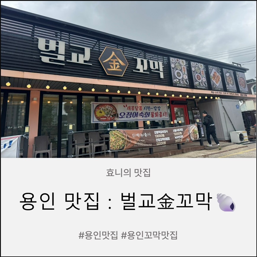 벌교금꼬막 사진 1