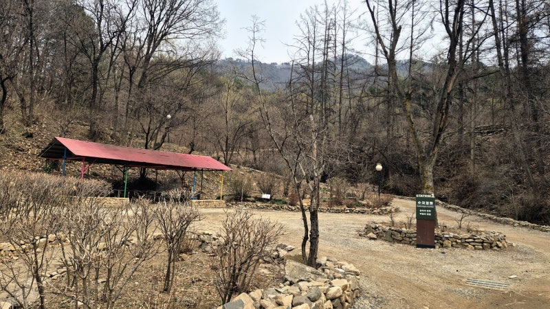 사진 7