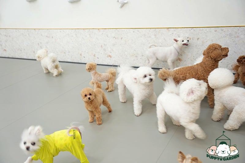 사진 6