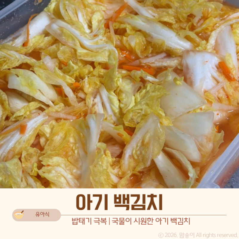 돌아기 백김치 만들기 | 국물까지 맛있는 아기 백김치 레시피