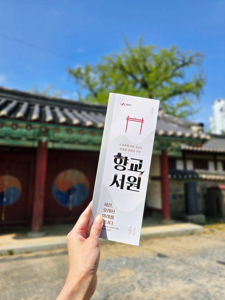  서산 명소 500년 된 은행나무가 있는 한적한 여행지 서산향교