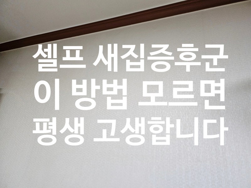 셀프 새집증후군 이 방법 모르면 평생 고생합니다;;