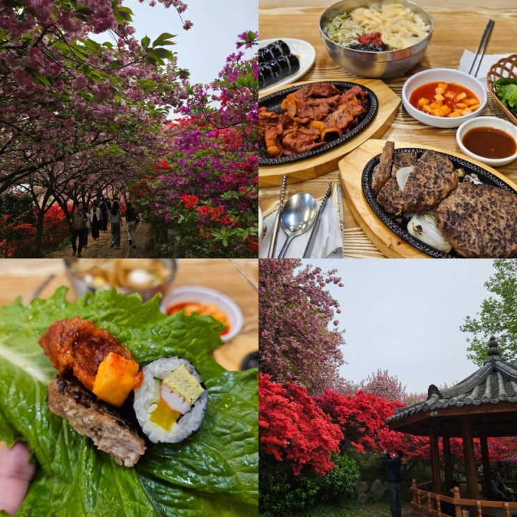  전주여행 가볼만한곳 평화동 오원집 김밥쌈 로컬 맛집 술집