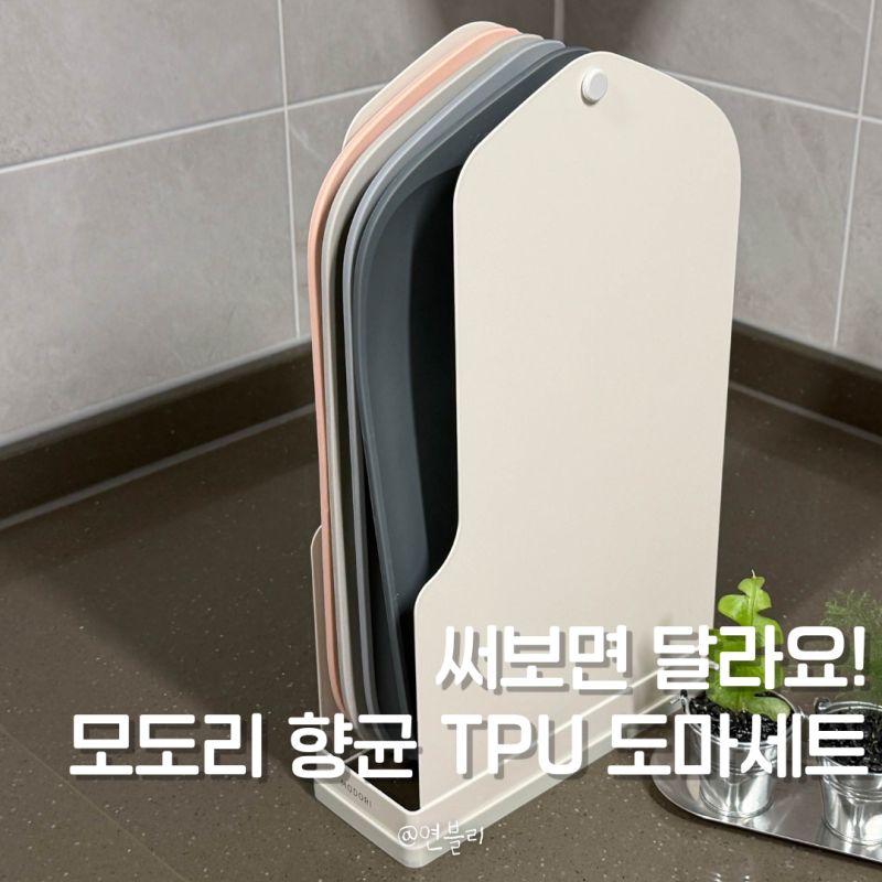 사진 6