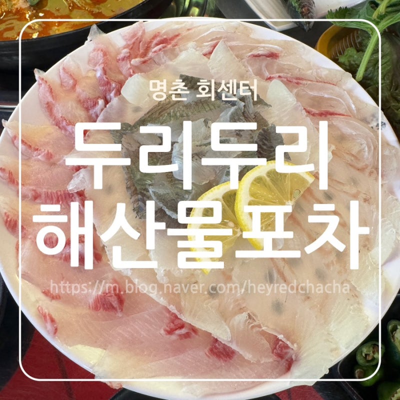 울산 명촌 횟집 추천 명촌회센터 모듬회부터 물회까지 완벽 (구. 두리두리 해산물 포차 )