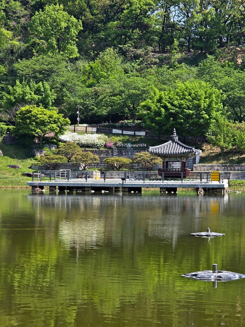 서울 피크닉 공원 북서울꿈의숲 주차요금 돗자리 명당 한강라면