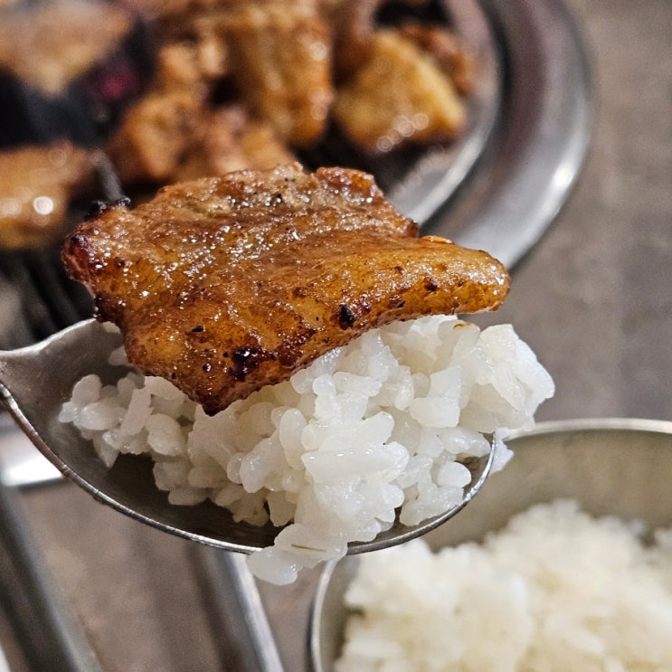  포항대학교맛집 추천 여기 돼지갈비 찐임 양덕동 송민기참숯화로 룸있음
