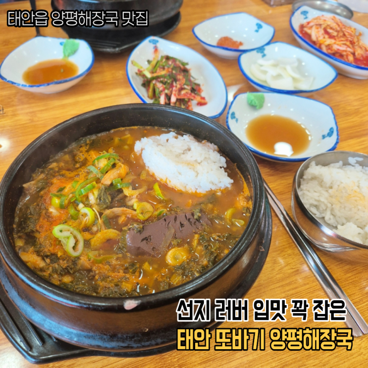  선지 좋아하면 여긴 꼭 가세요 태안 또바기 양평해장국 내돈내산 대만족 후기