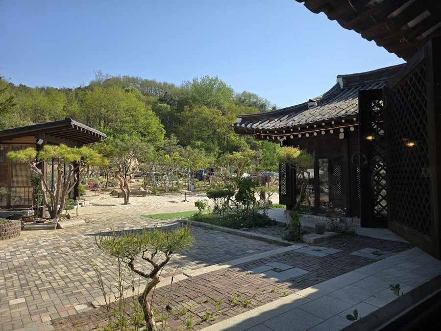 피다2 사진 3