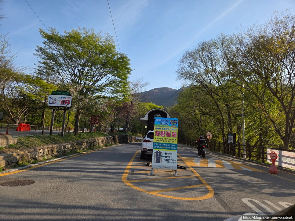 덕유대자동차야영장 사진 4
