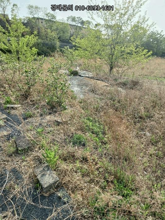  포항 남구 오천읍 세계리 562, 오천시장 상권과 원문덕지구 개발 호재 품은 미래가치 높은 대규모 토지 경매 2025타경3713