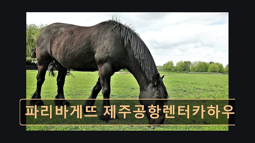 파리바게뜨 제주종합청사점 사진 4