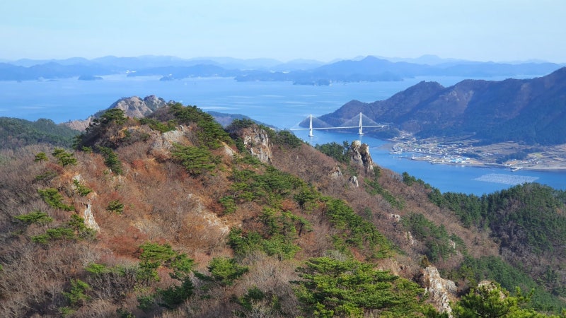 사진 3