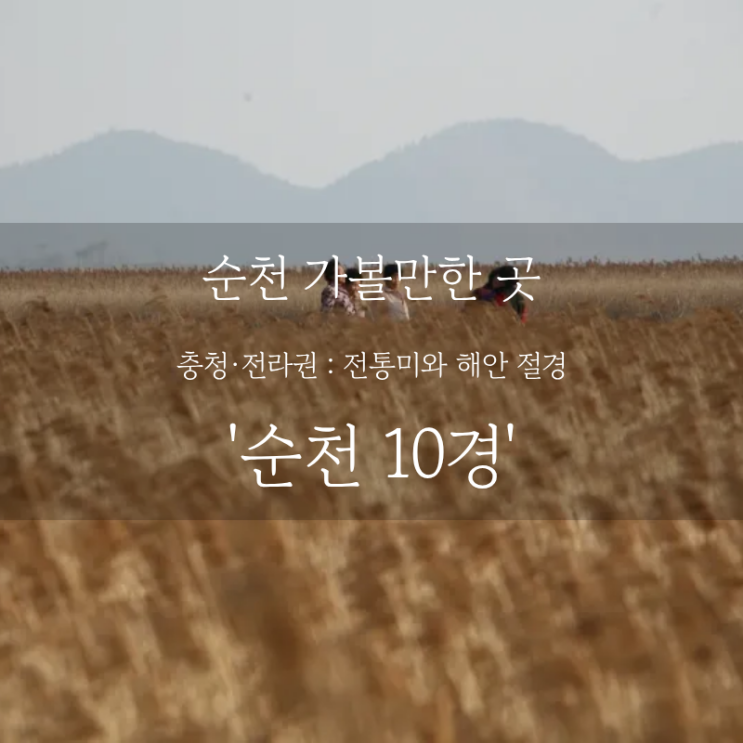  순천 여행 어디까지 가봤니? 순천 가볼만한 곳, 갈대와 정원이 숨쉬는 여행 순천 10경