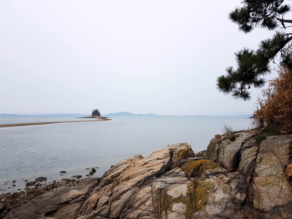 야광주도 사진 1