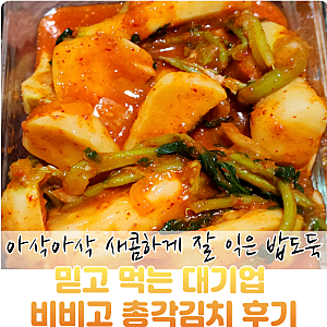 코스트코 추천템 비비고 총각김치 세일 가격 라면 꿀조합 솔직 후기