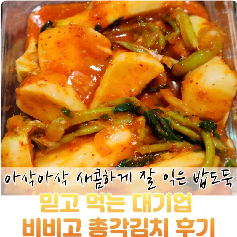 코스트코 추천템 비비고 총각김치 세일 가격 라면 꿀조합 솔직 후기