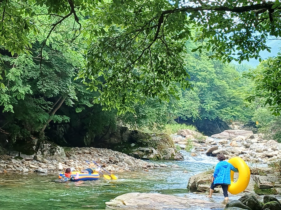 더랏지펜션 사진 2