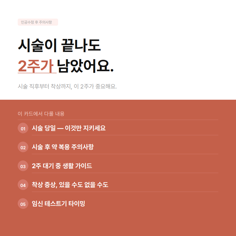 인공수정 후 주의사항 — 시술 당일부터 2주 대기까지 제가 정리해봤어요
