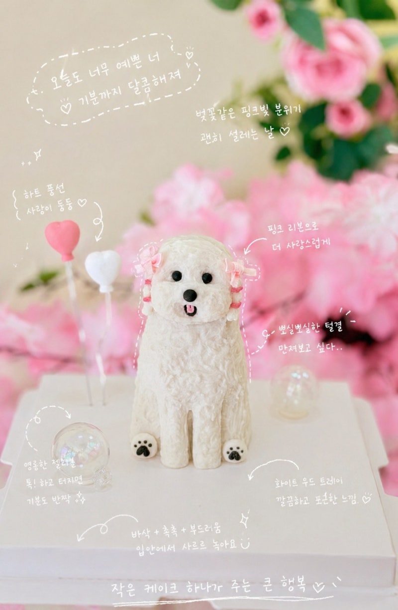 사진 6