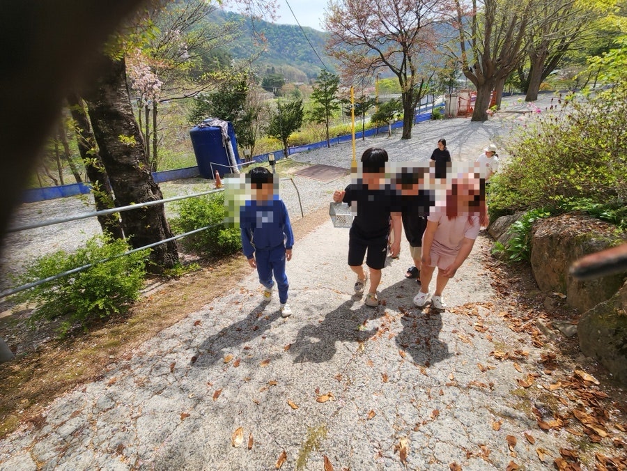 시골학교캠핑장 사진 5