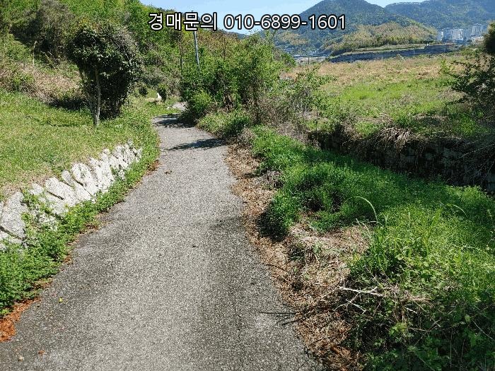  거가대교와 인접하여 뛰어난 접근성을 자랑하는 경상남도 거제시 하청면 하청리 산82-1, 미래가치 높은 대규모 임야 경매에 참여하세요 2025타경21308
