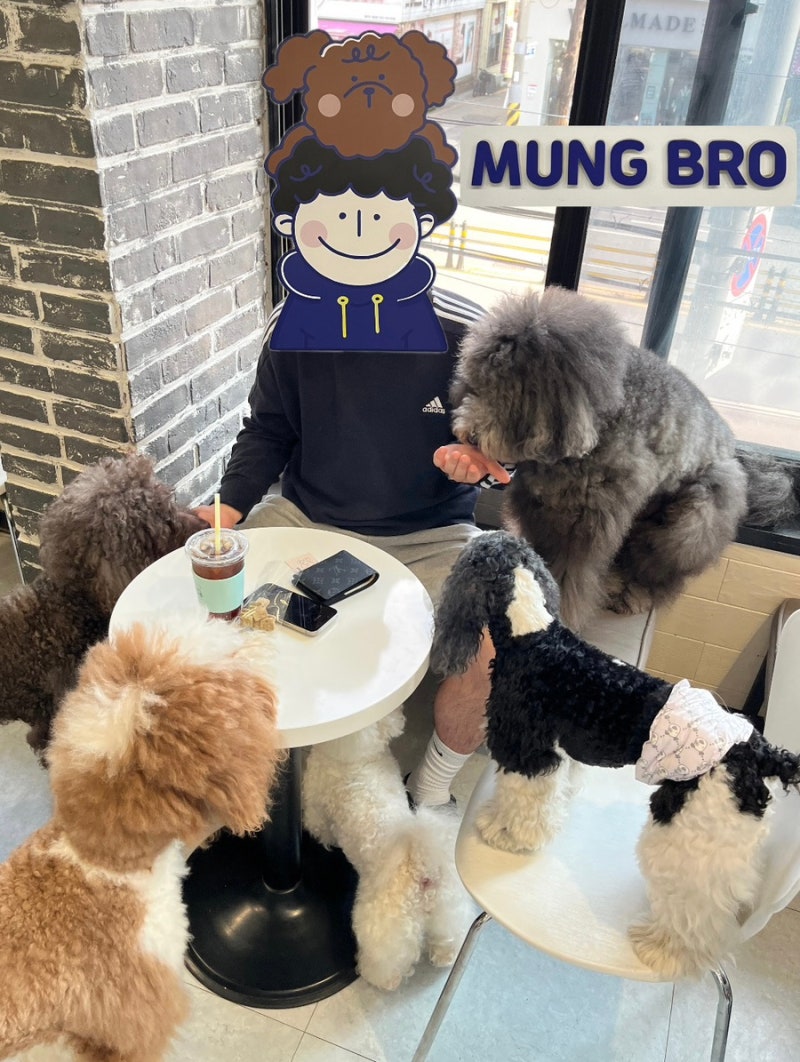 멍브로