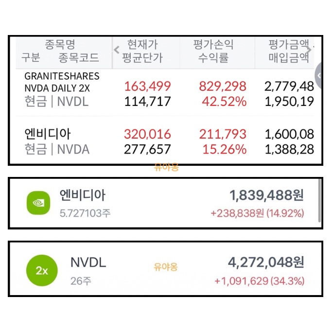  5개월 '횡보디아' 버틴 20대 투자자, 엔비디아 신고가 이후 수익이