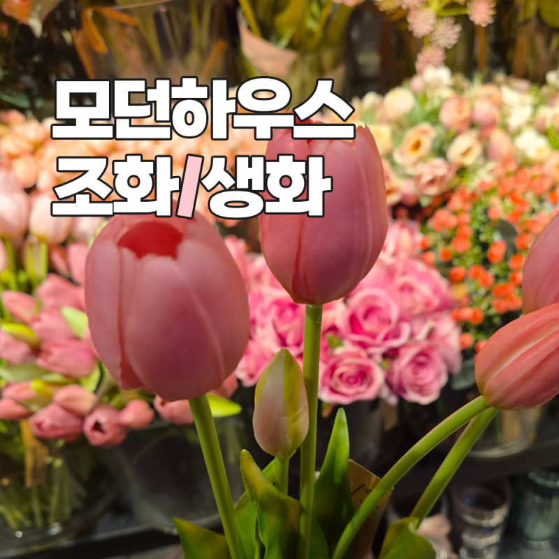 야탑 모던하우스 봄맞이 인테리어 조화 생화 화병 가격 알아보기