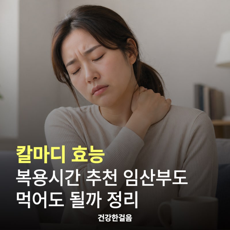 칼마디 효능 복용시간 추천 임산부도 먹어도 될까 정리