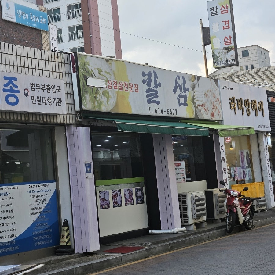 칼삼 사진 1