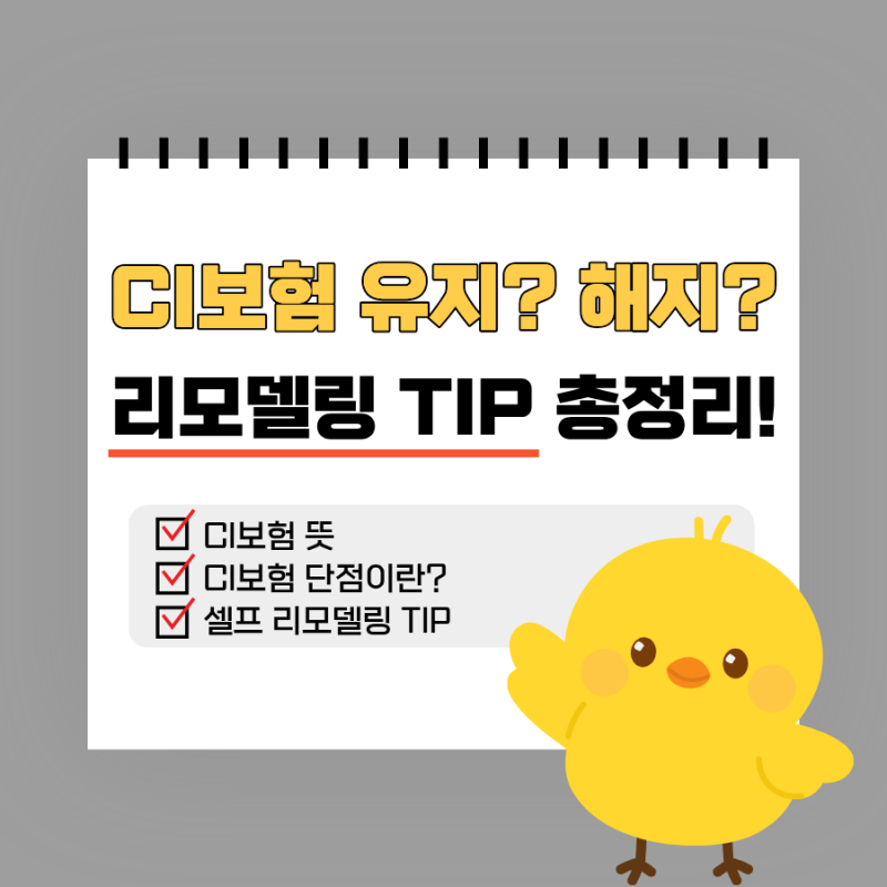 CI보험 뜻 단점 리모델링 TIP 총정리