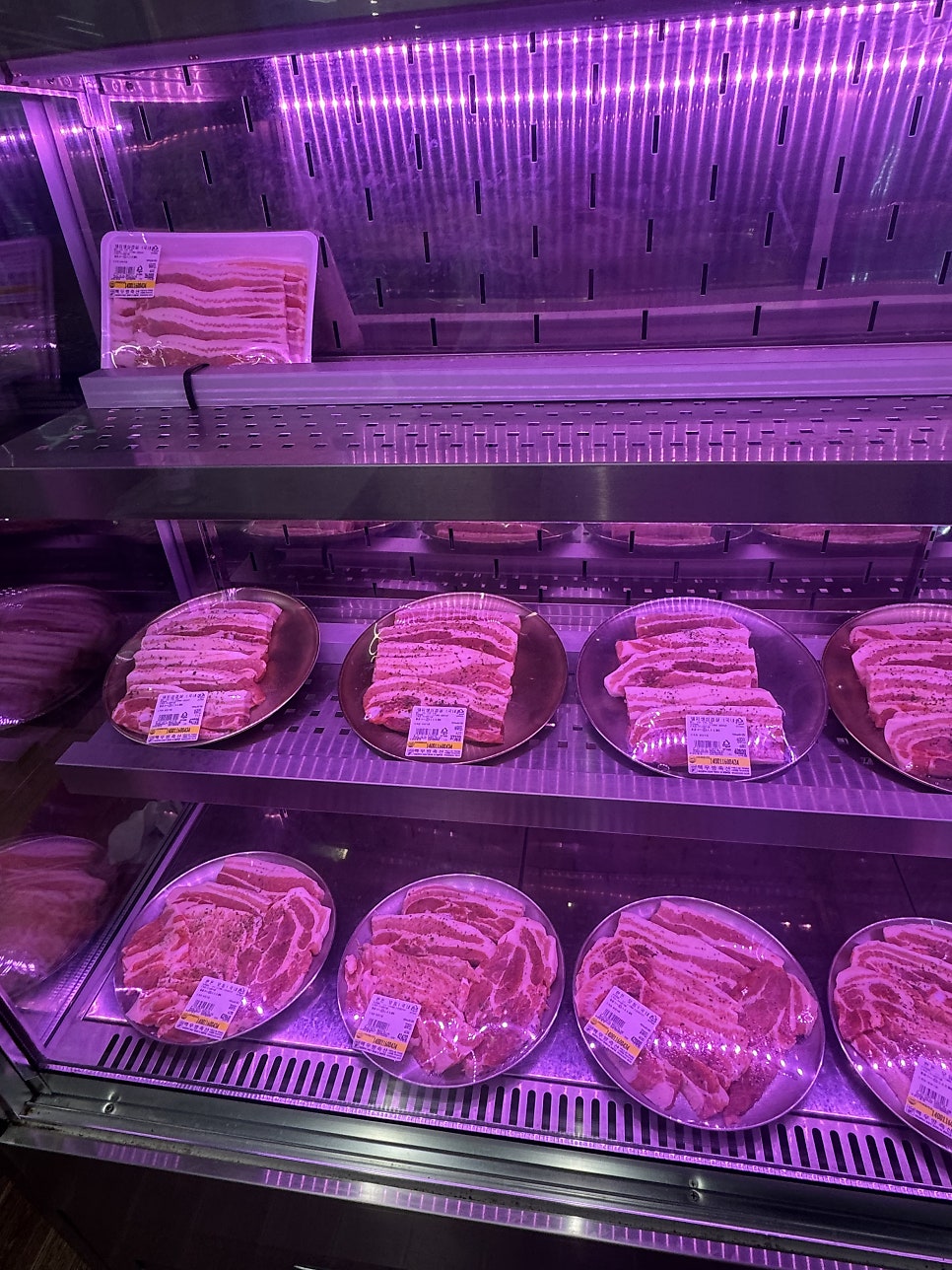돼통령 사진 5