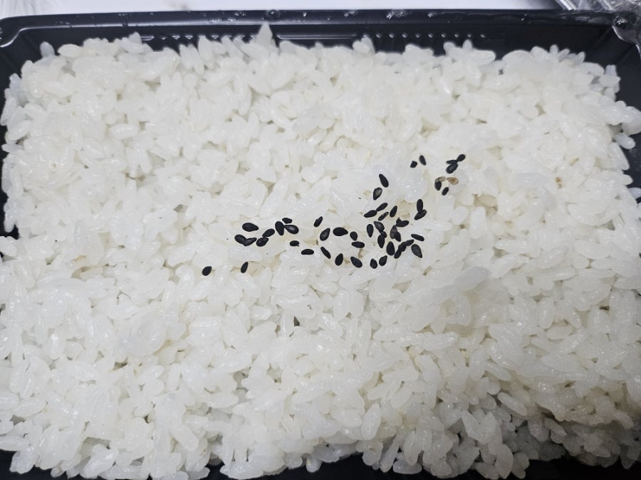 연우식당 사진 5