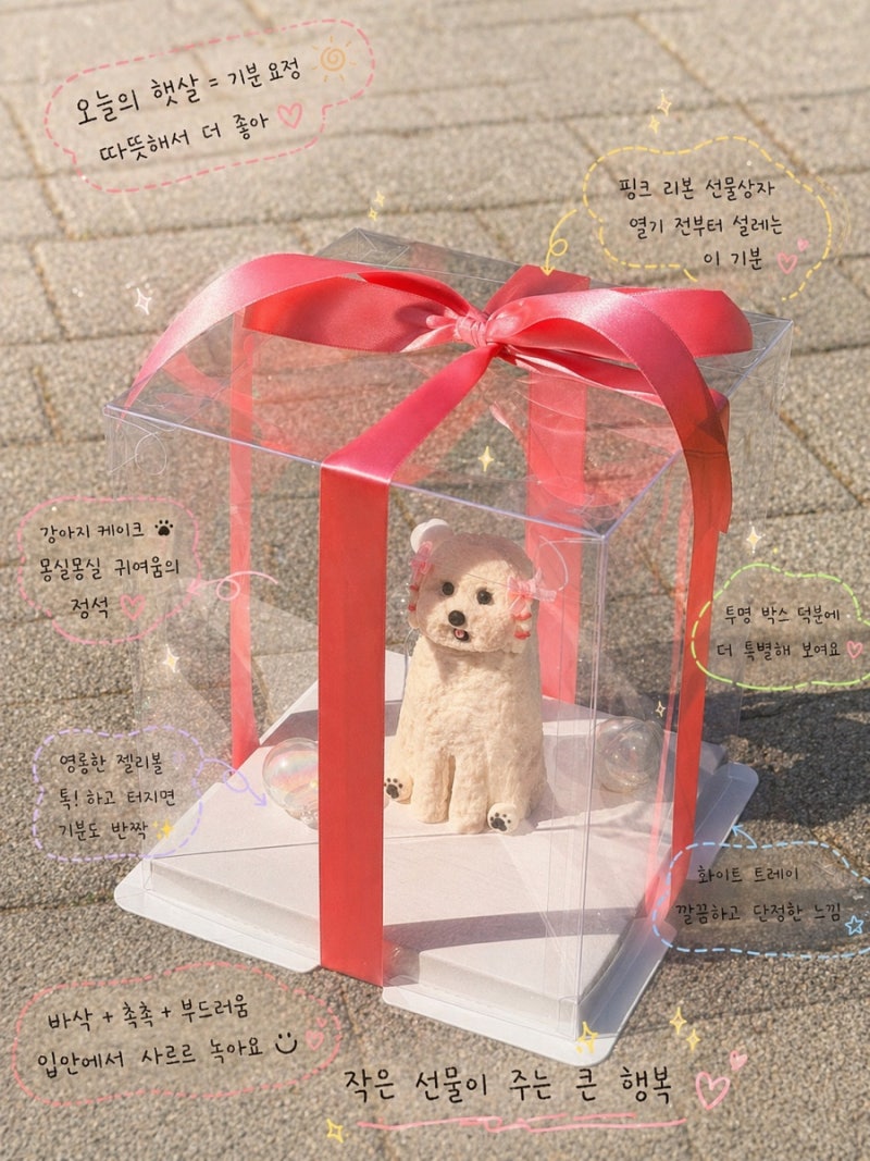 사진 7