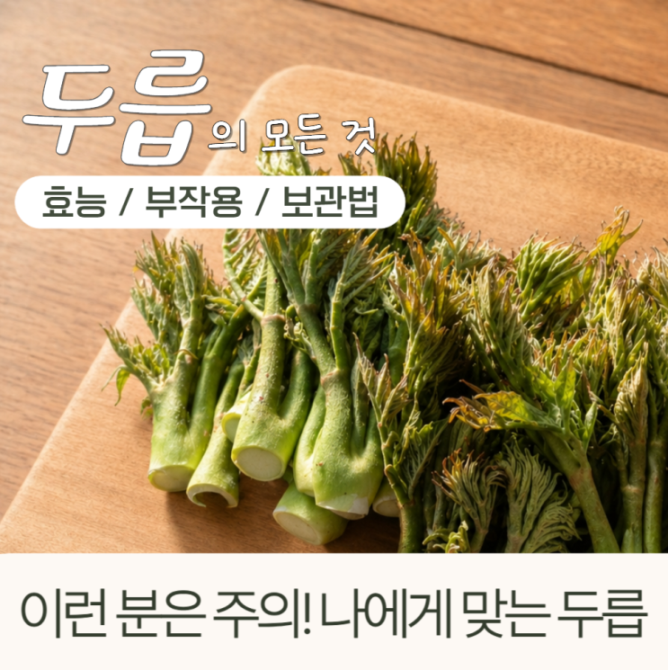  두릅 효능 부작용 보관법 제철 시기