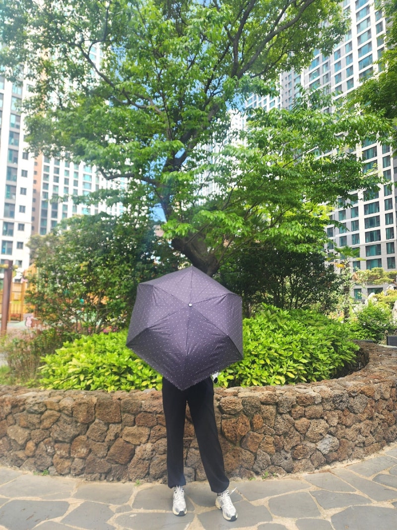 초경량 자외선차단양산 쿠칭아일랜드 피에르가르뎅 우양산 후기