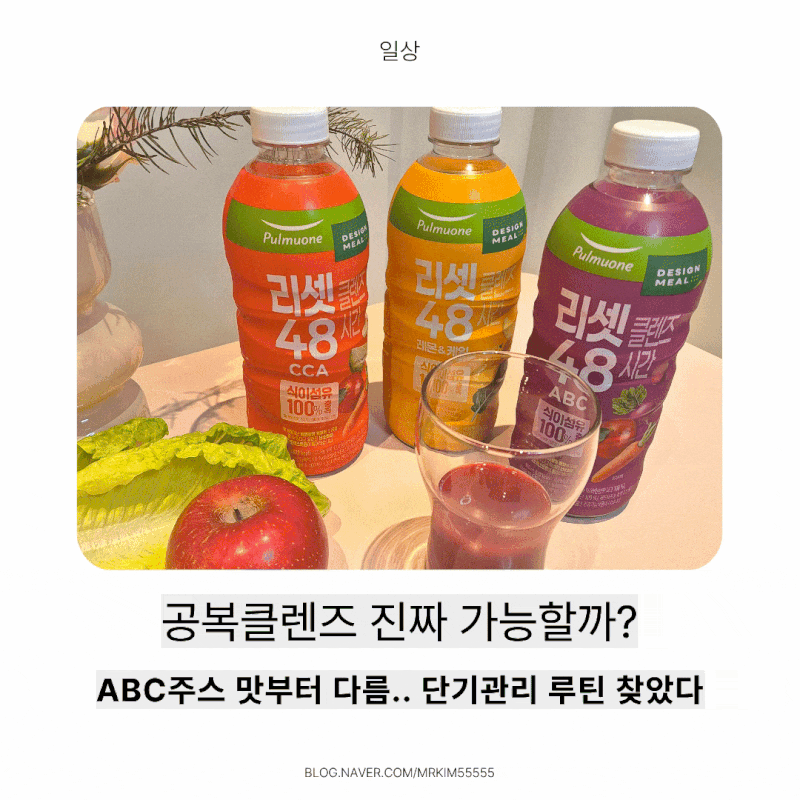 리셋클렌즈 48시간 직접 해보니.. ABC주스 중심 단기관리 리얼 후기