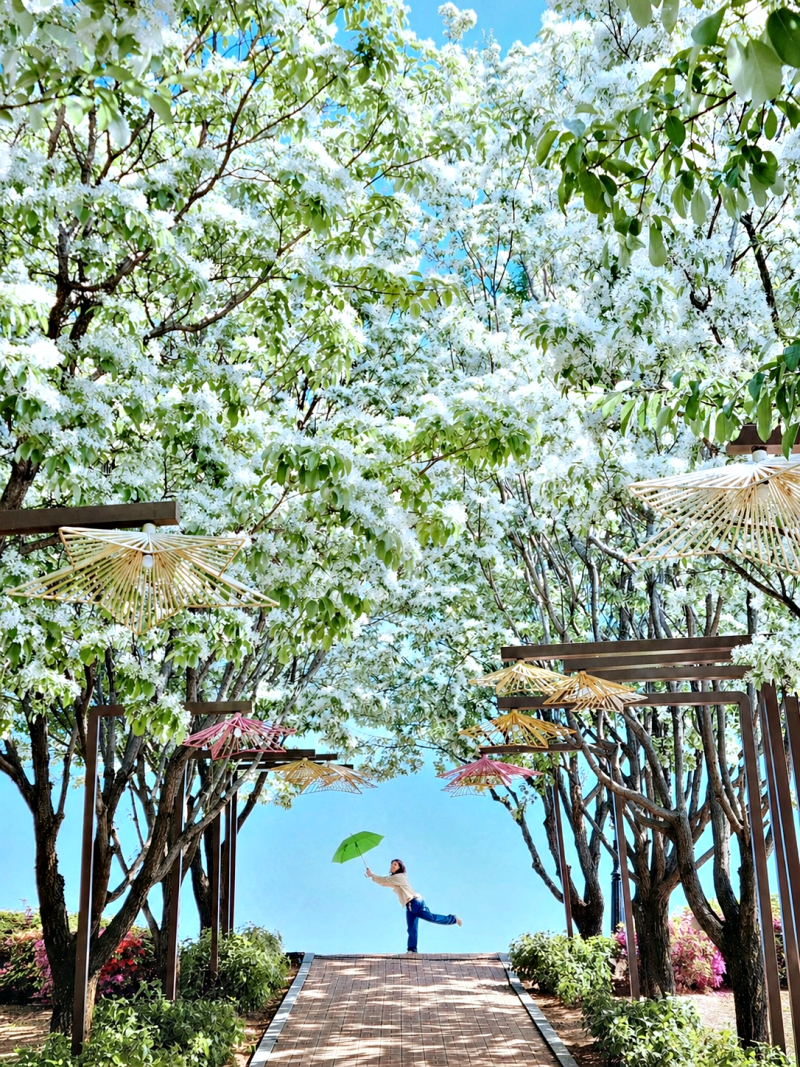 사진 3