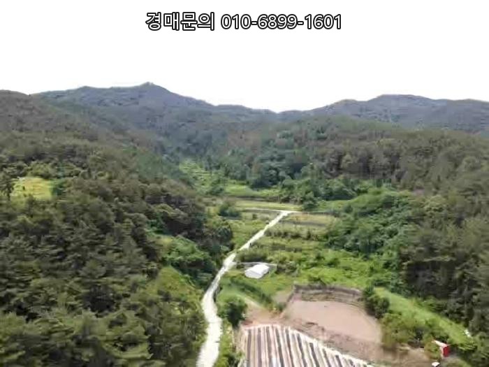  파격적인 20% 최저가! 통영 도산면 오륜리, 도로 접하고 개발 준비된 2,837평 대형 토지 경매 (2024-2786)