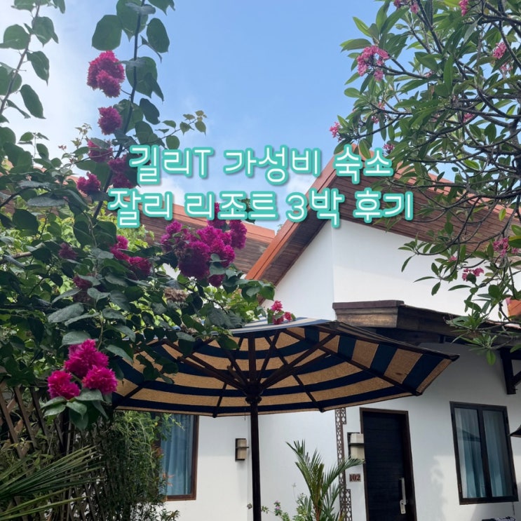  발리 길리T 가성비 숙소 추천 | 잘리 리조트 3박 솔직 후기 (1인 3만원대, 당근케이크 존맛)