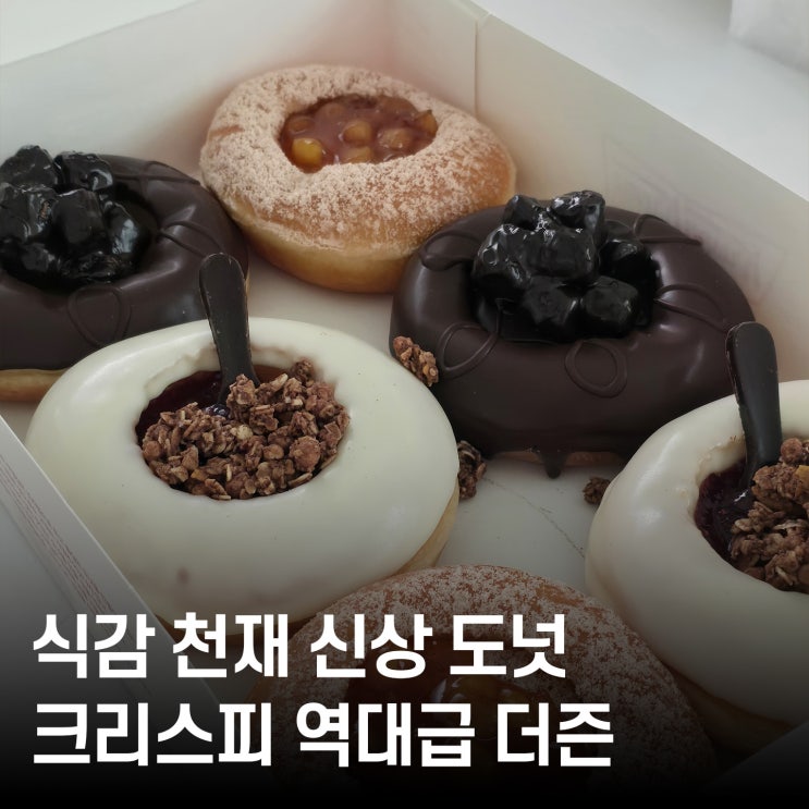  도넛 추천 크리스피크림 신메뉴 리얼 텍스쳐 구성 리뷰 (요거트 도넛 & 애플 시나몬)