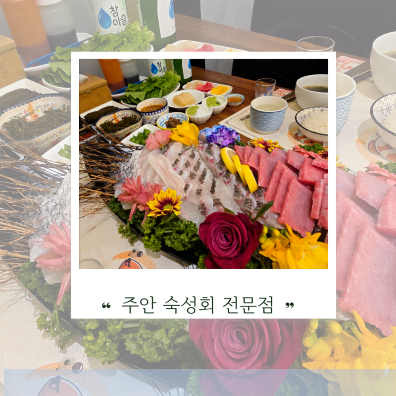 주안 숙성회맛집 정성횟집