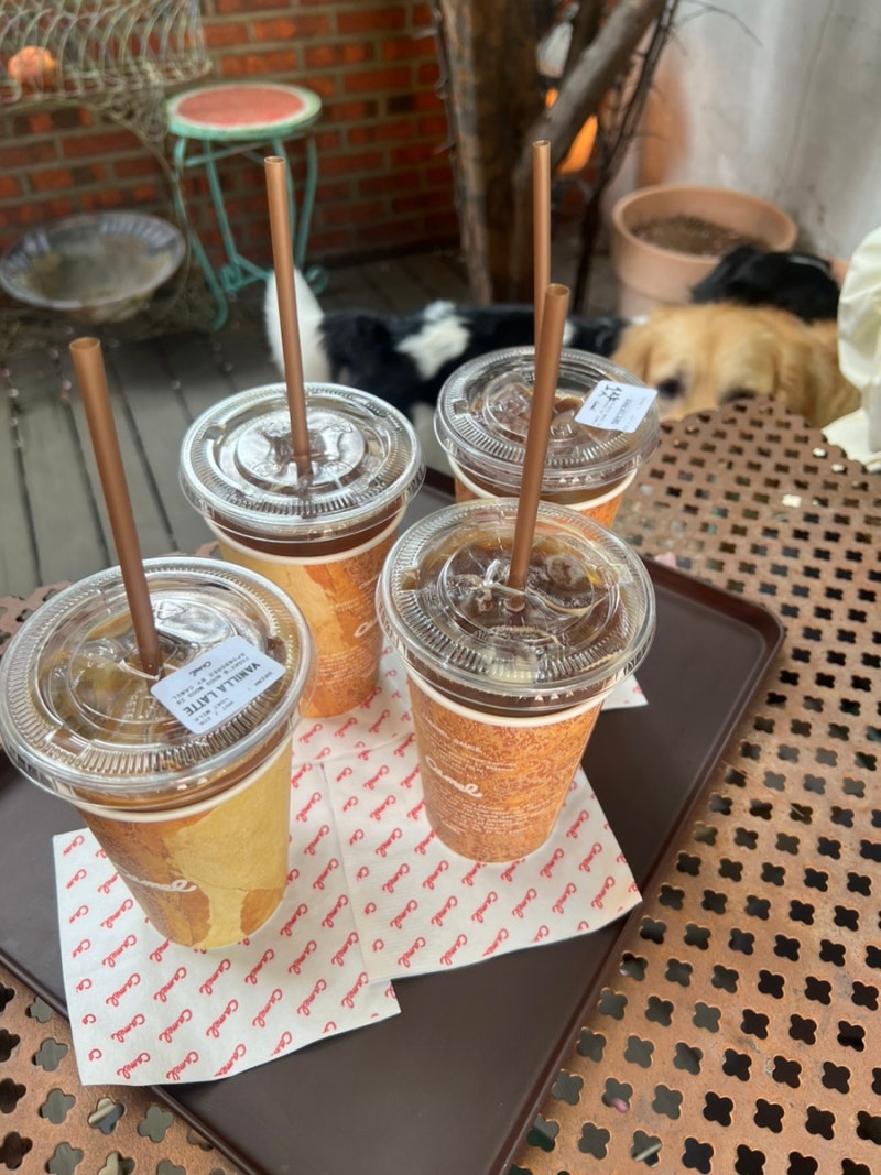 사진 6