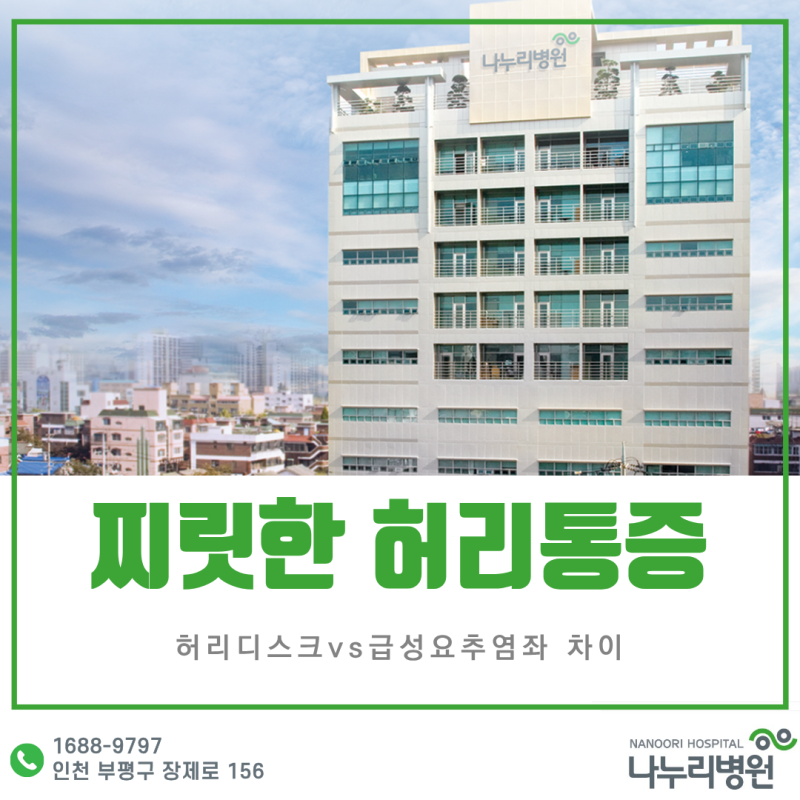 허리가 갑자기 '찌릿!'허리디스크vs급성요추염좌 차이