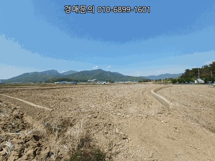  사천시 향촌동, 775평 대규모 토지 경매로 남해안 시대의 황금빛 투자 기회를 잡으세요 2025타경667