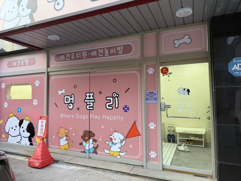 사진 7