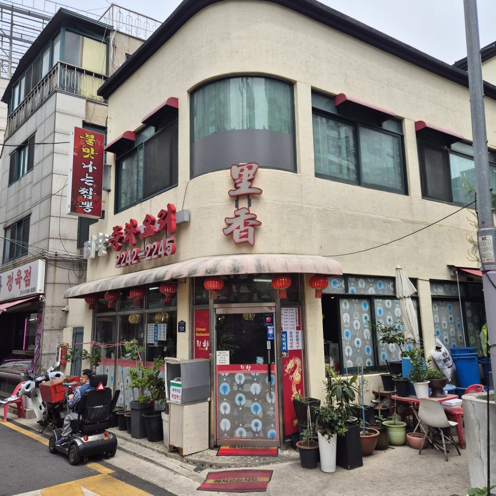 리향 사진 3