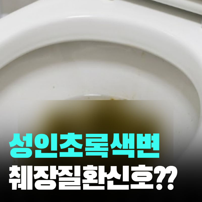 성인 초록색 변 췌장 질환 신호