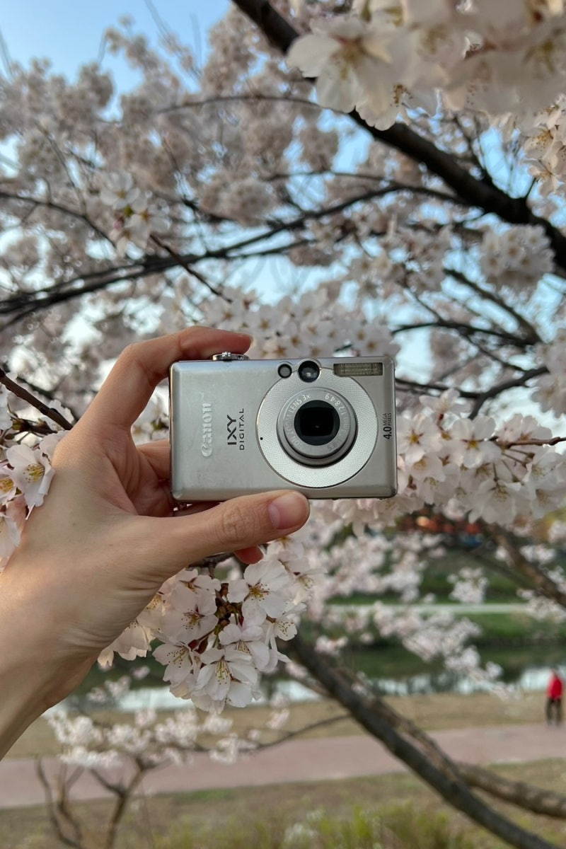 캐논 익시 50 / 익서스 40 작례